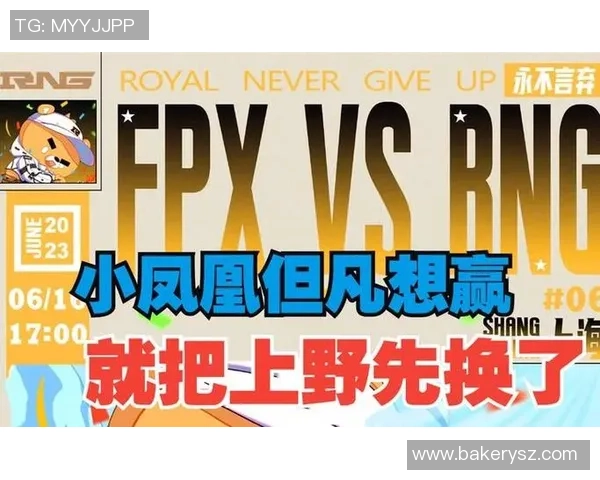 赛后深度分析RNG与FPX实力对比及未来展望